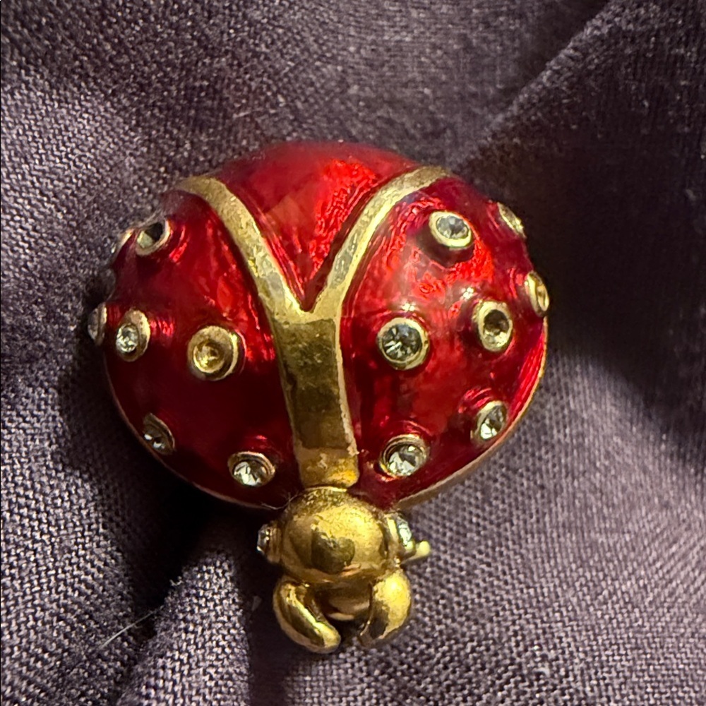 Vintage Elegant Red and Gold Ladybug Brooch